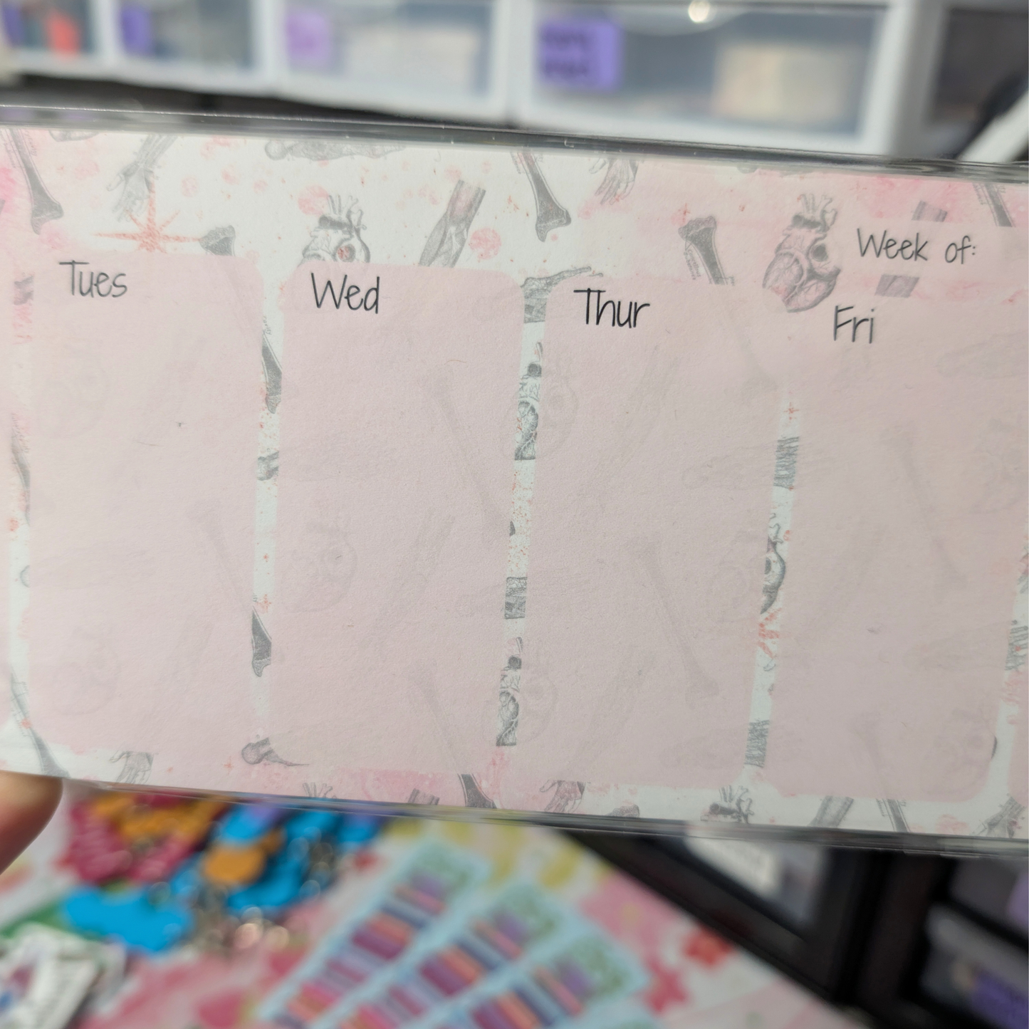 Pink Vintage Anatomy Weekly Planner