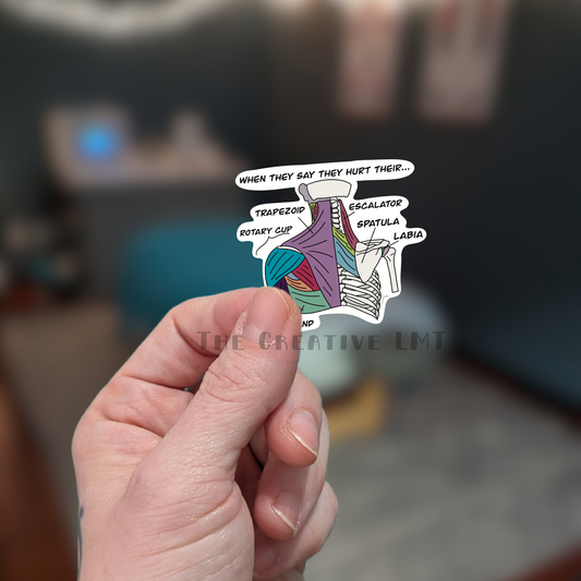 Misidentified Muscles | Funny Anatomy Vinyl Sticker