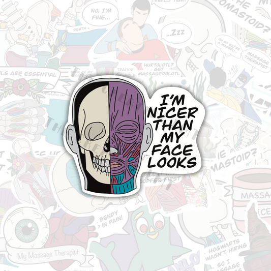 I'm Nicer Than My Face Looks | Funny Anatomy Vinyl Sticker