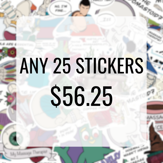 Choose Any 25 Single Stickers | Sticker Bundle | Assorted Stickers