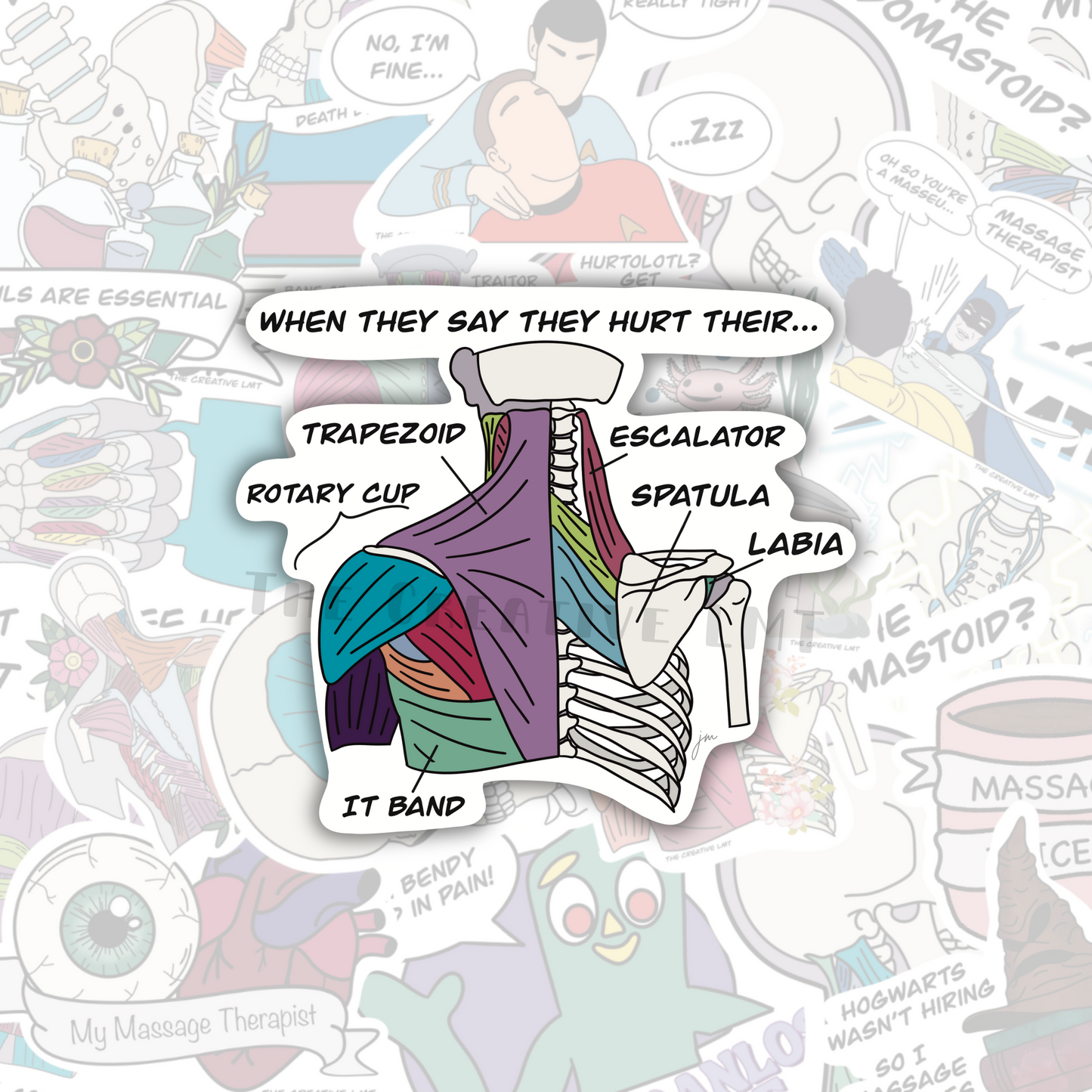 Misidentified Muscles | Funny Anatomy Vinyl Sticker