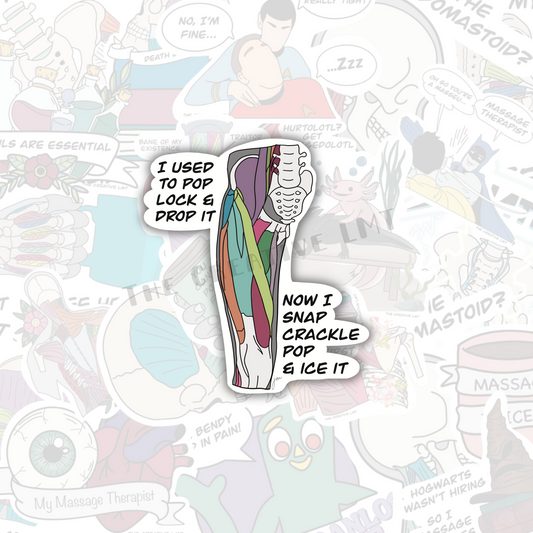 Snap Crackle Pop Leg | Funny Anatomy Vinyl Sticker
